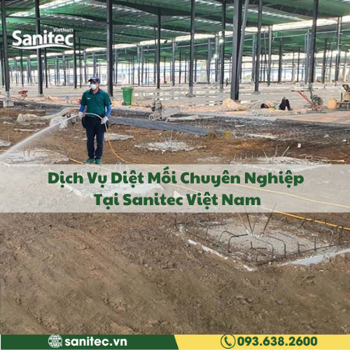Dịch Vụ Diệt Mối Chuyên Nghiệp Tại Sanitec Việt Nam